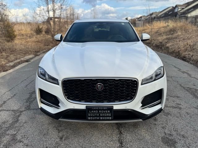 Used 2023 Fuji White Jaguar P250 S image 3