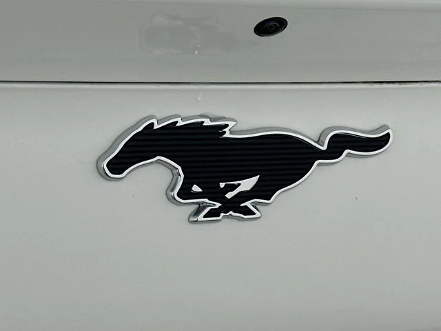 New 2026 White Ford Premium image 26