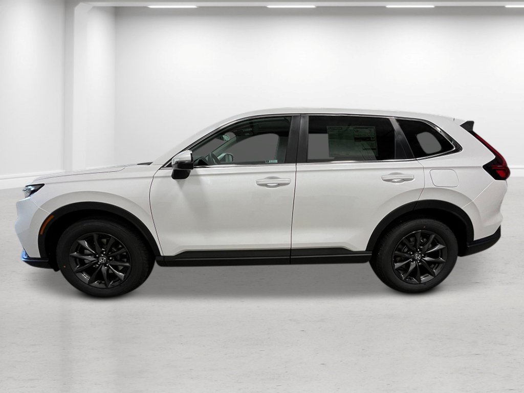 New 2027 Platinum White Pearl Honda EX-L image 2