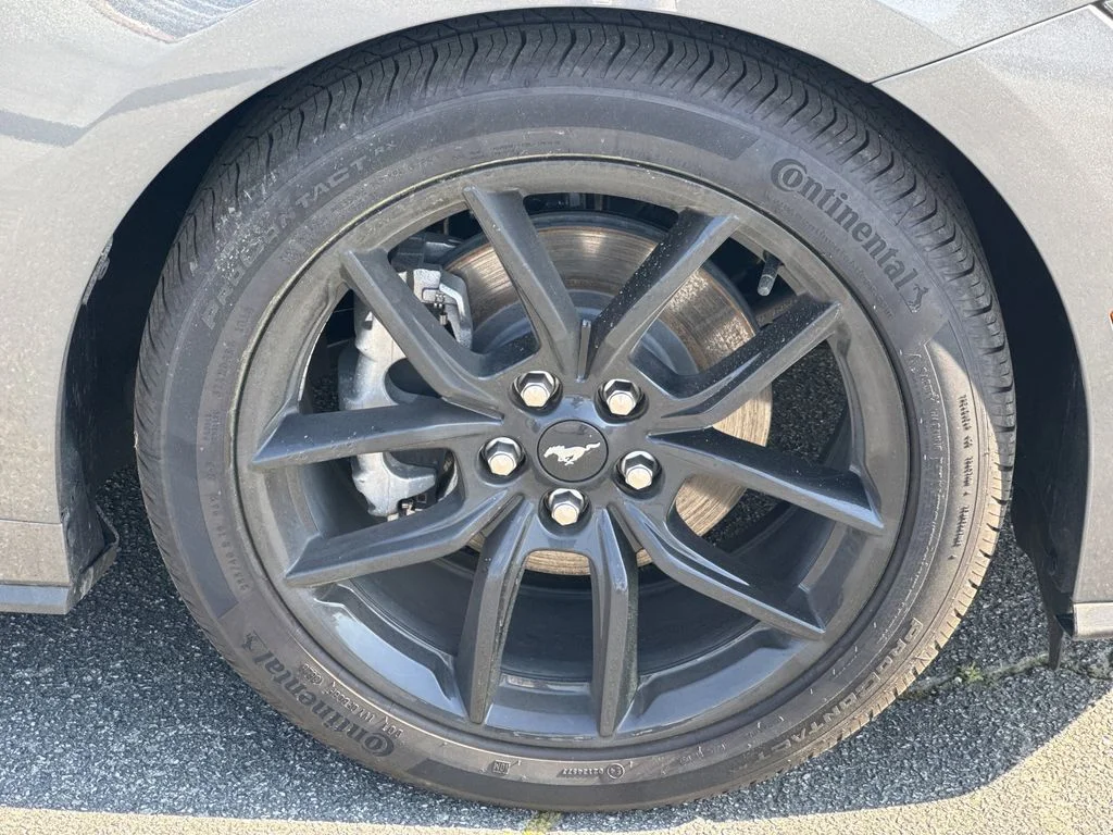 New 2026 Gray Ford EcoBoost image 12