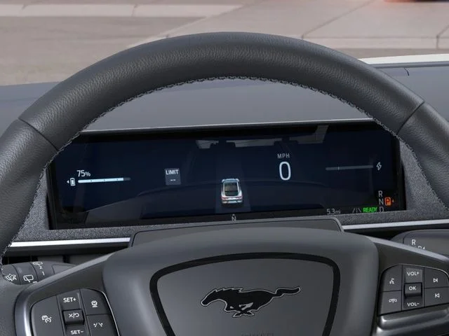 2025 Ford Mustang Mach-E GT - Photo 13