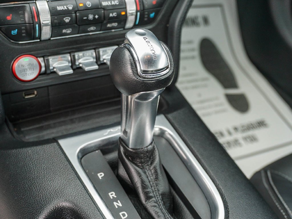 Used 2019 Blue Ford EcoBoost Premium image 21