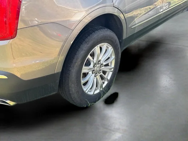 Used 2019 Brown Cadillac Base image 13