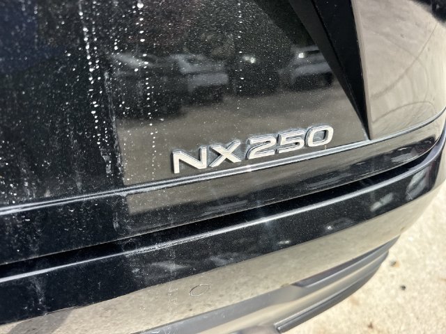 Certified Used 2025 CAVIAR Lexus 250 Base image 25