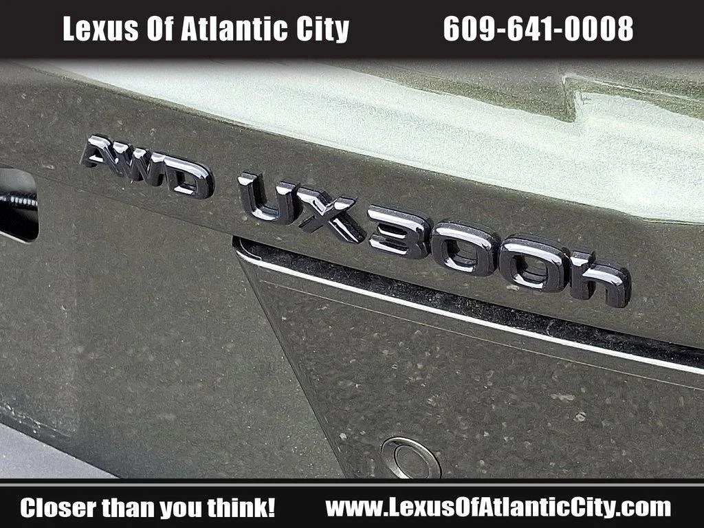 2025 Lexus UX Hybrid 300h Premium - Photo 31