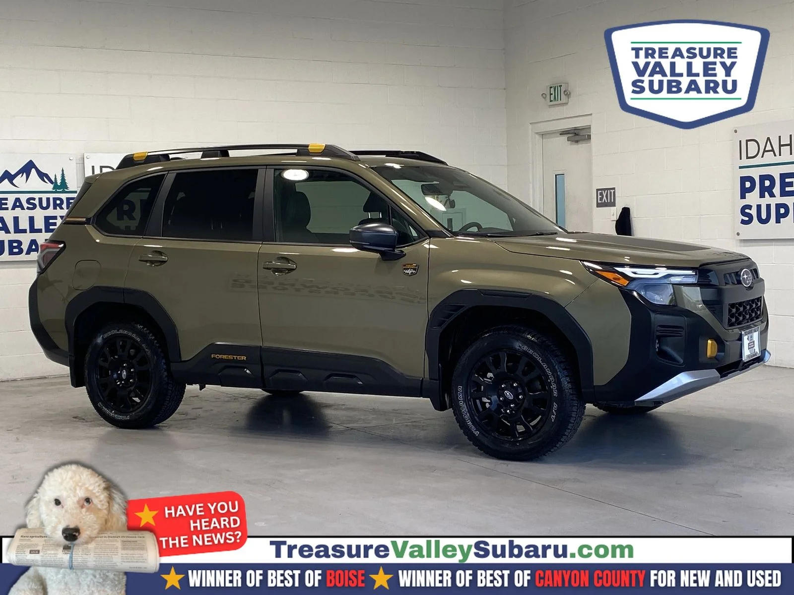 2026 Subaru Forester Wilderness's photo