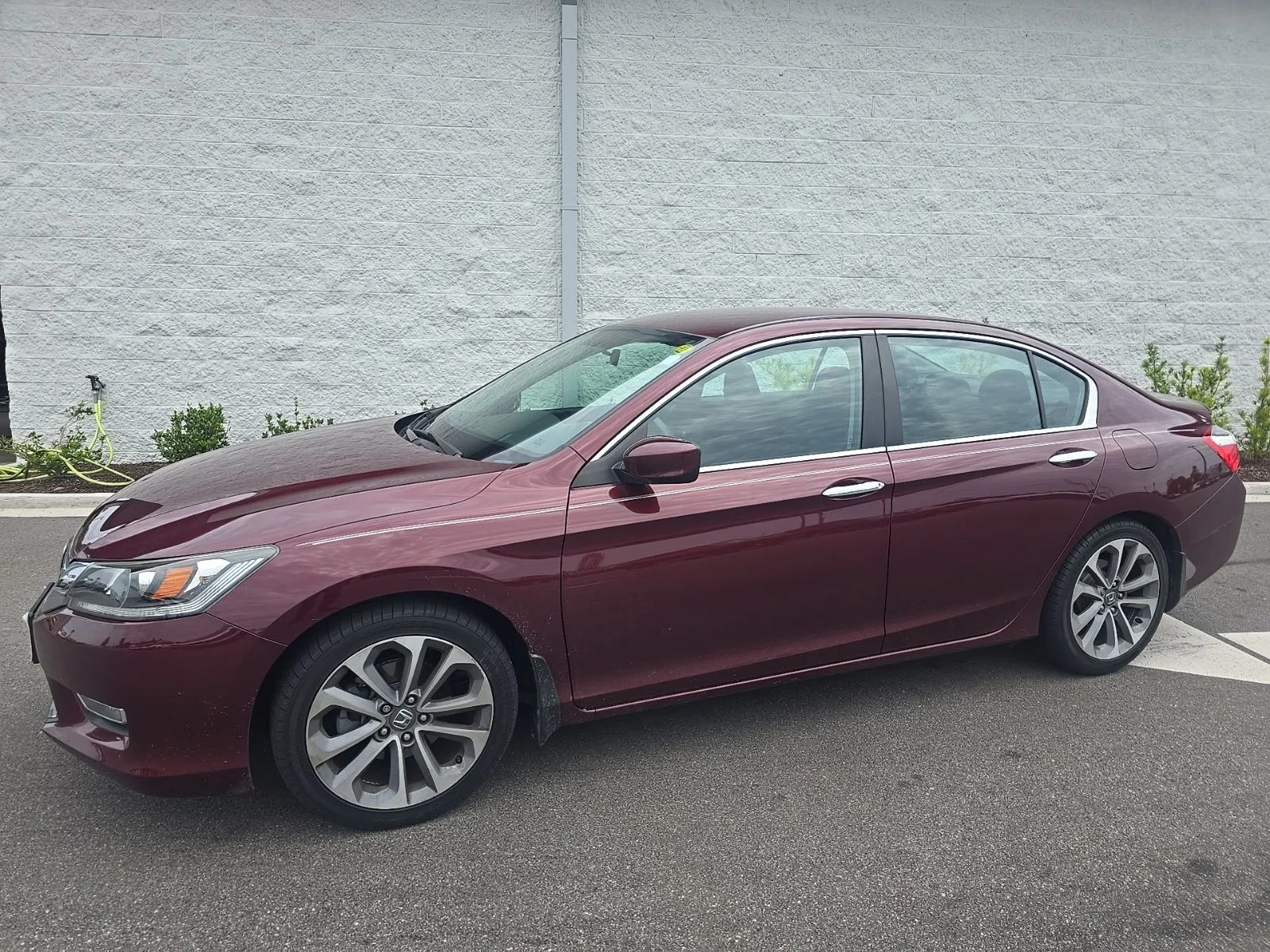 2013 Honda Accord Sport Auto's photo