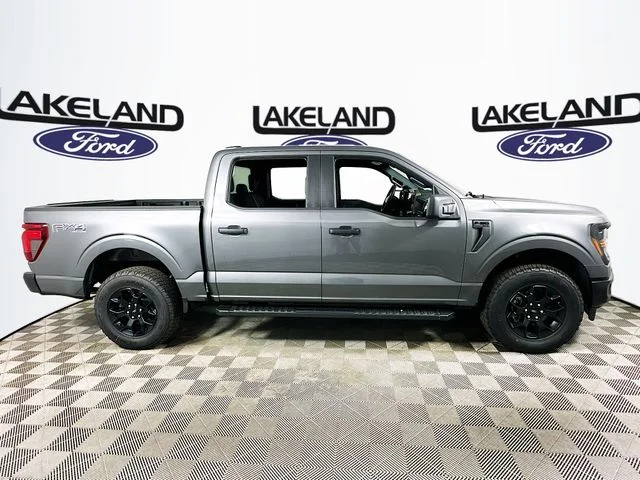 New 2026 Gray Ford STX image 3