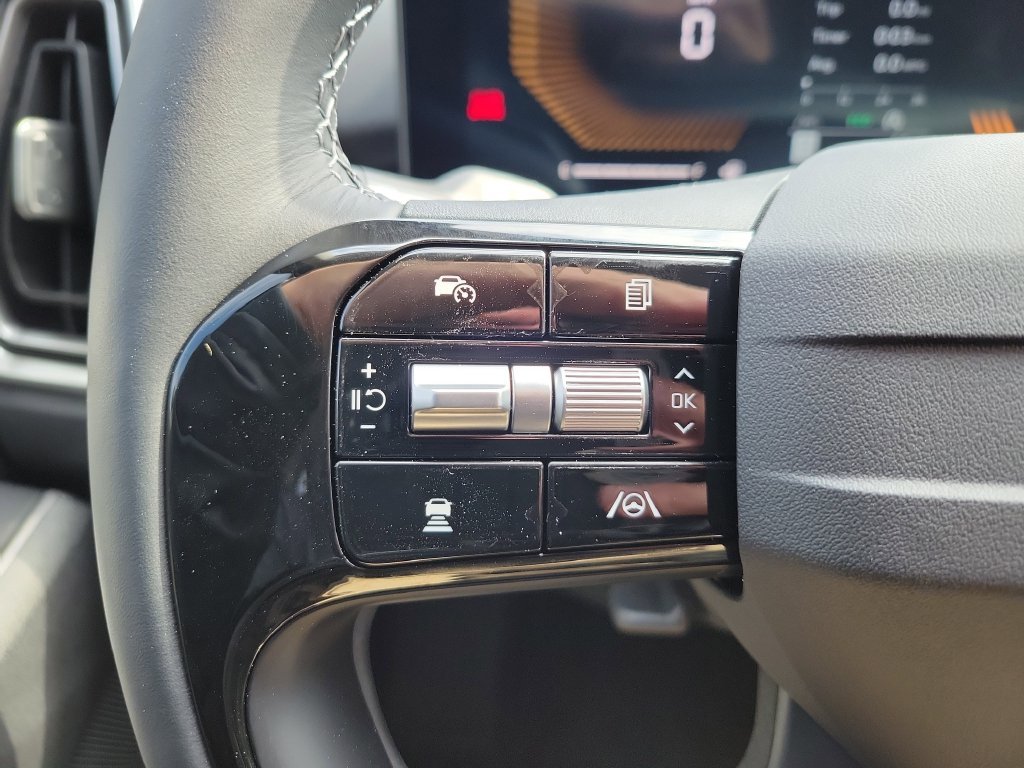 New 2026 Panthera Metal Kia S image 27