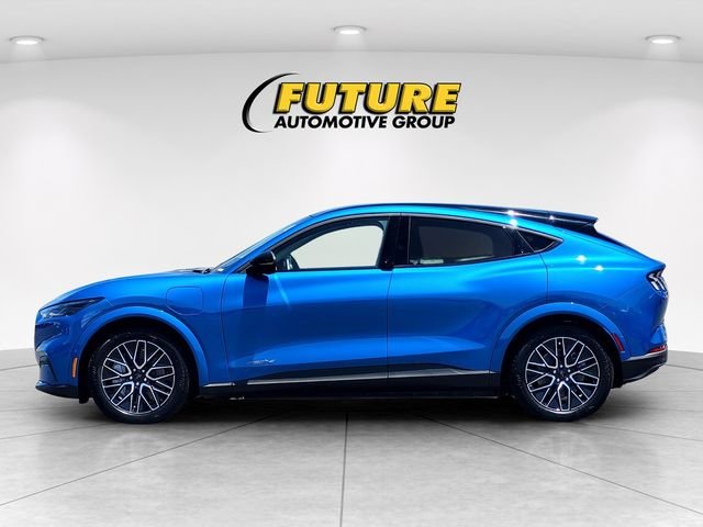 Used 2025 Blue Ford Premium image 7