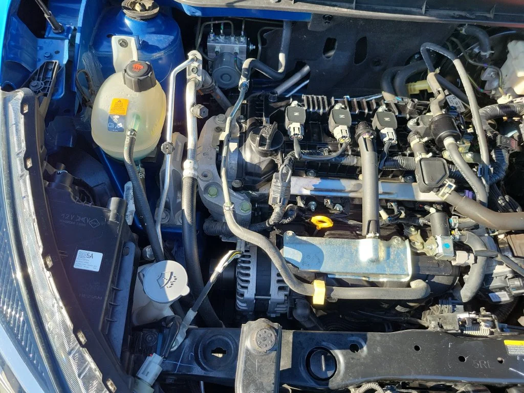 Photo 41