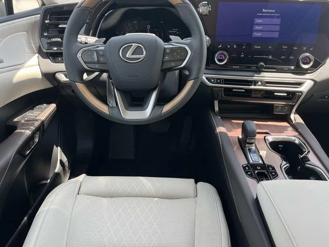 New 2026 Iridium Lexus LUXURY image 13