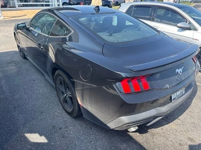 Used 2024 Black Ford EcoBoost Premium image 9