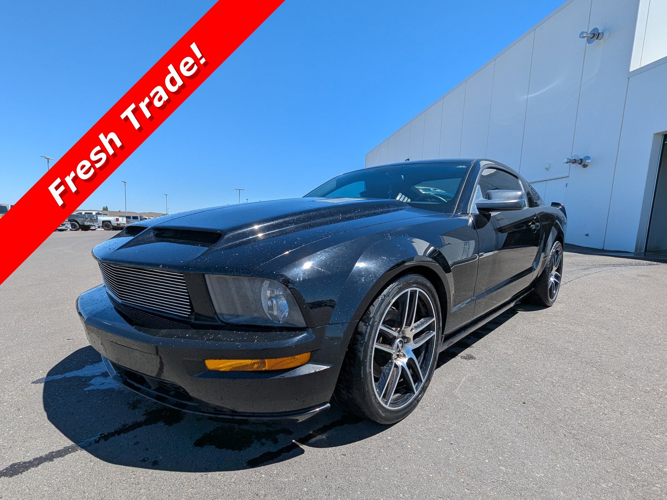 2008 Ford Mustang GT Premium's photo