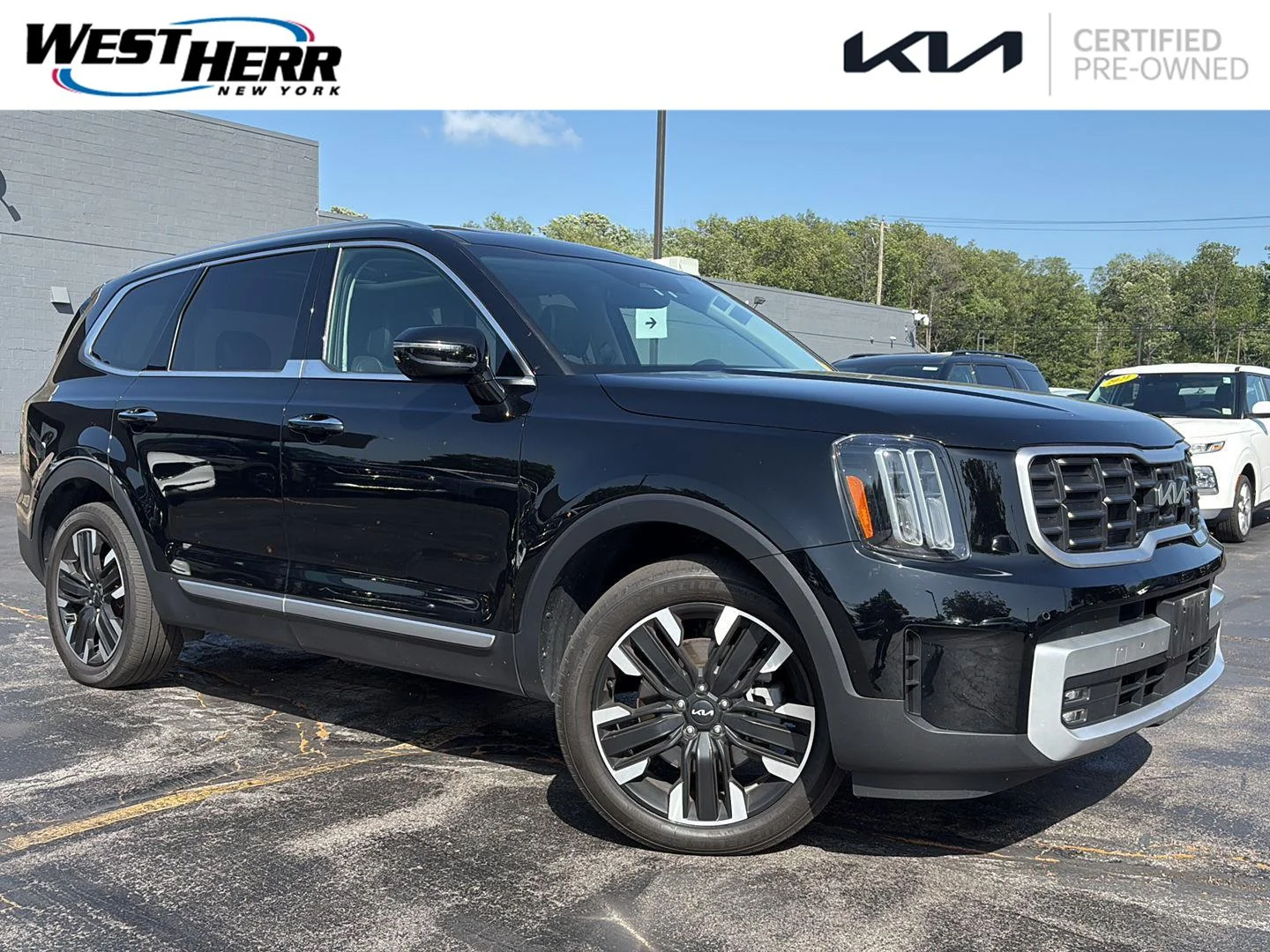 2024 Kia Telluride SX AWD's photo