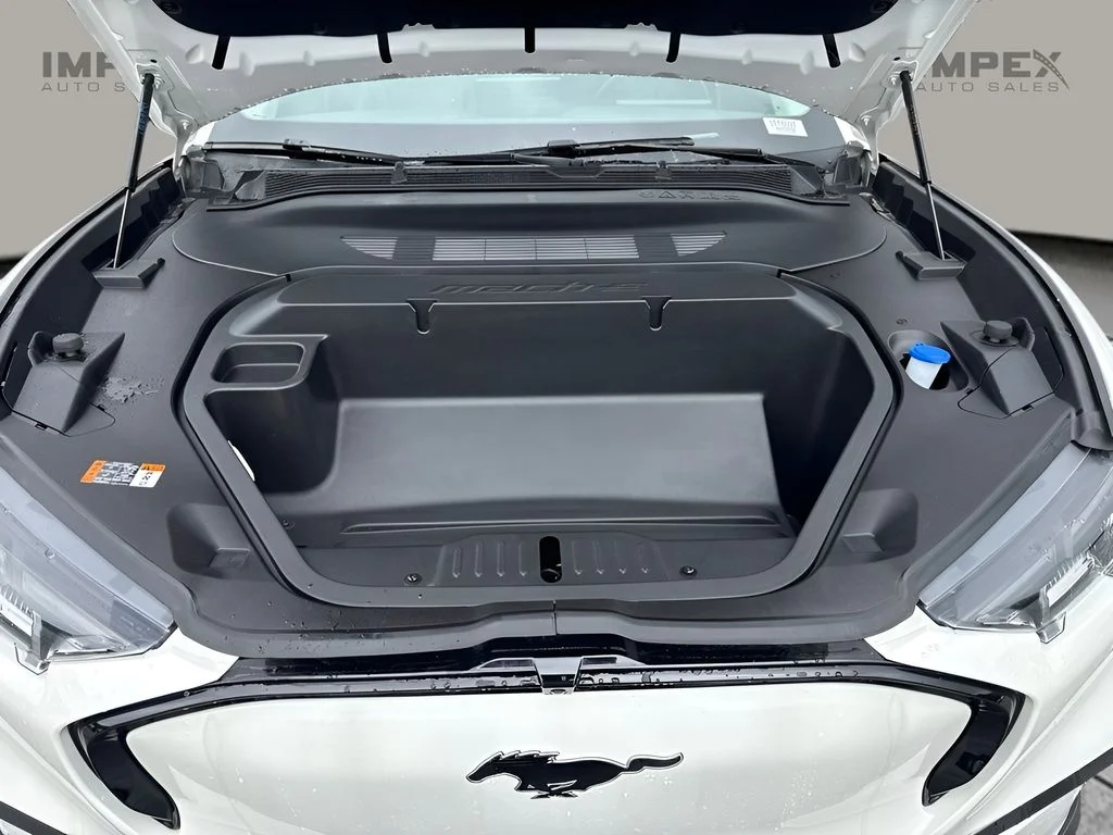 Used 2025 White Ford Premium image 20