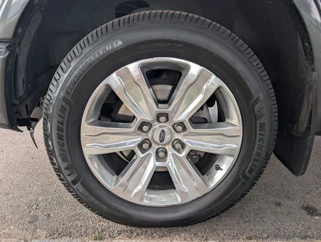 Used 2015 Guard Metallic Ford Platinum image 7