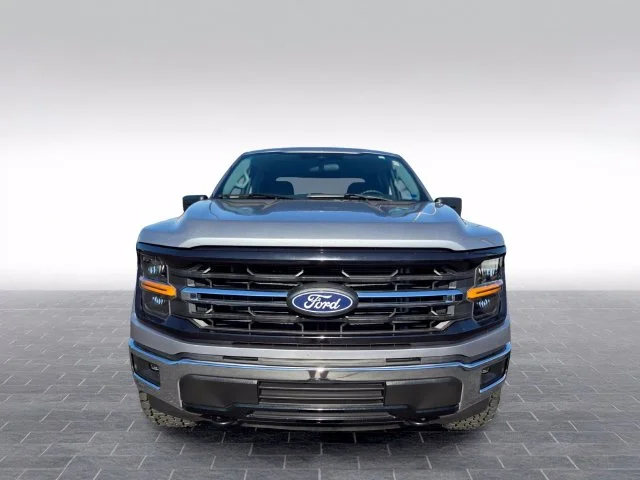 Used 2025 Silver Ford XLT image 2