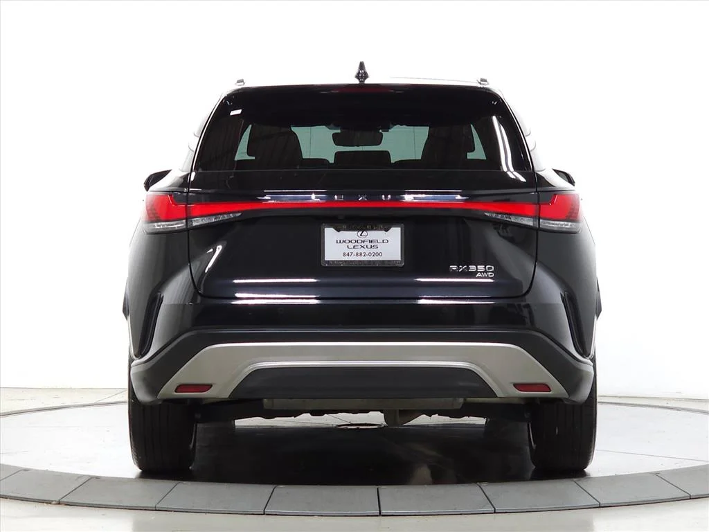2023 Lexus RX 350 - Photo 6