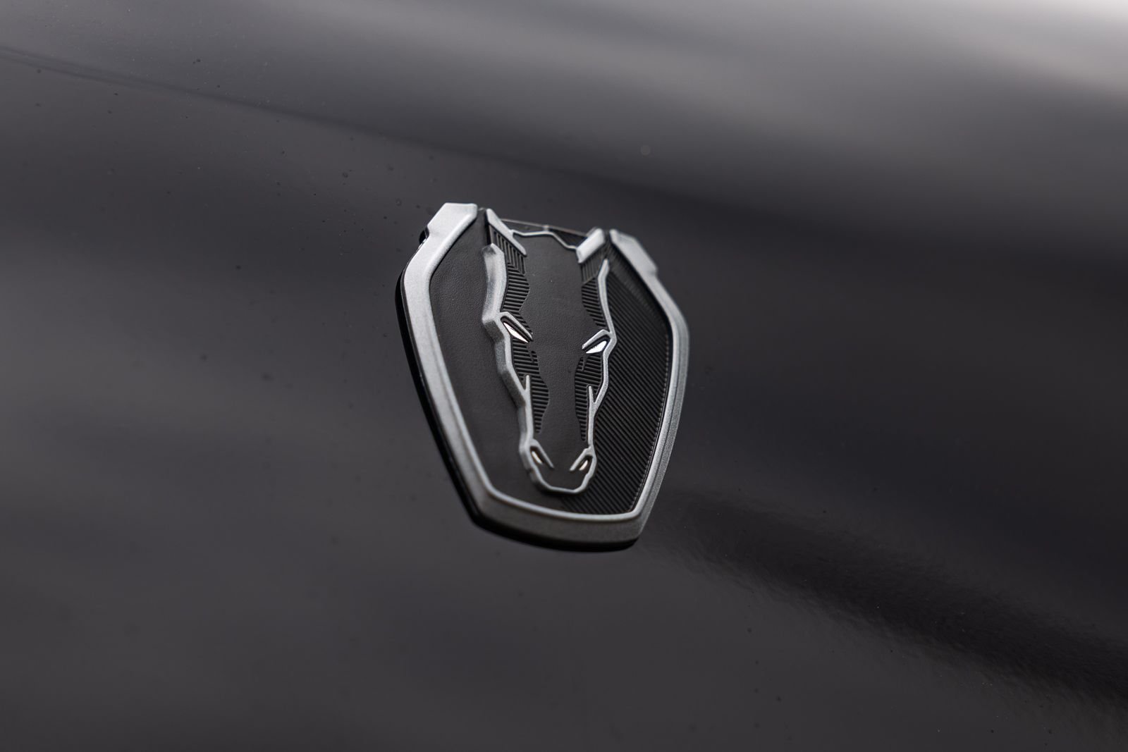 New 2026 Shadow Black Ford Dark Horse® Premium image 15