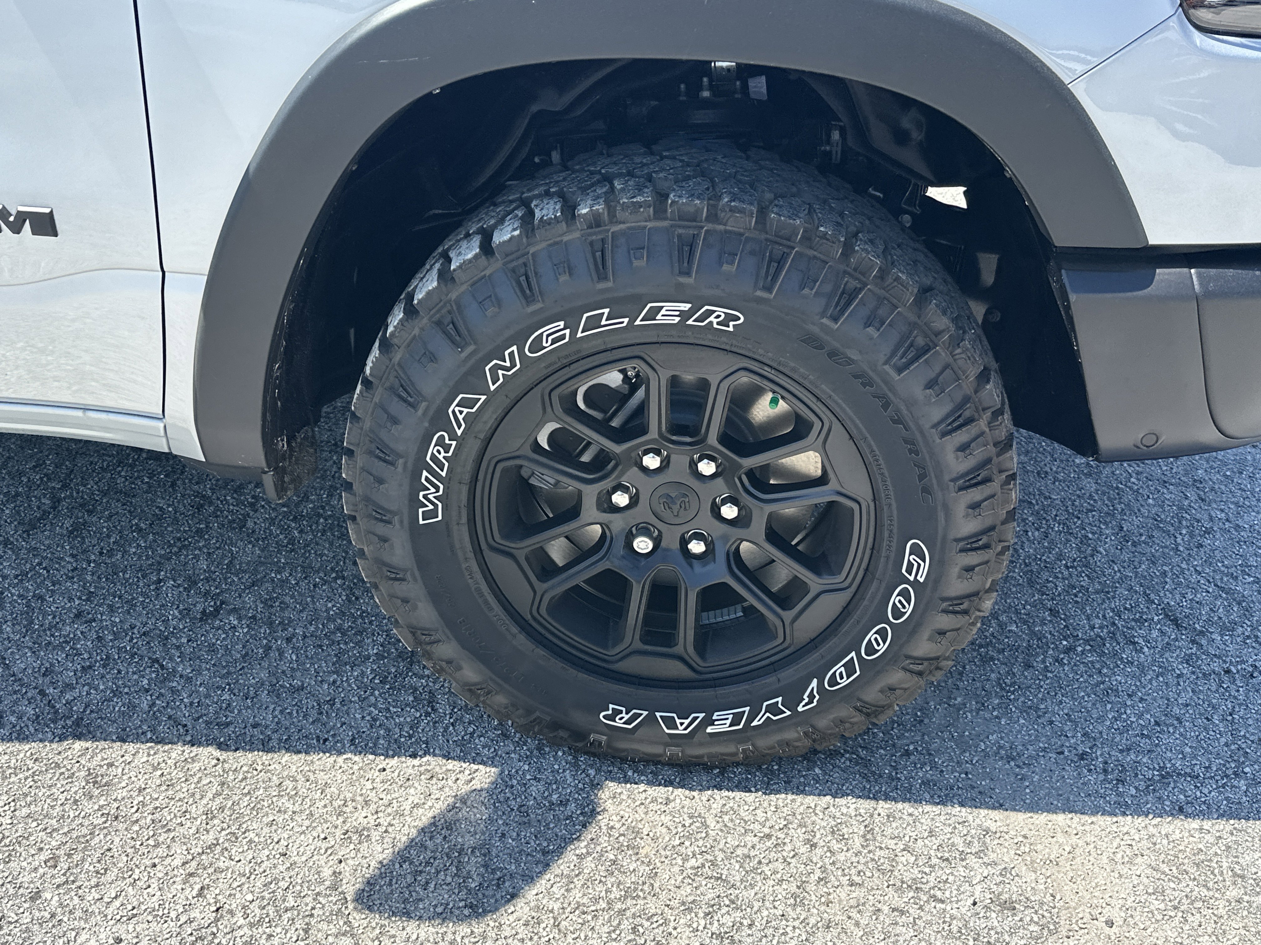 New 2026 Silver Zynith Exterior Paint RAM Rebel image 13