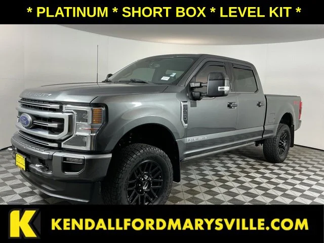 Used 2020 Gray Ford Platinum image 1