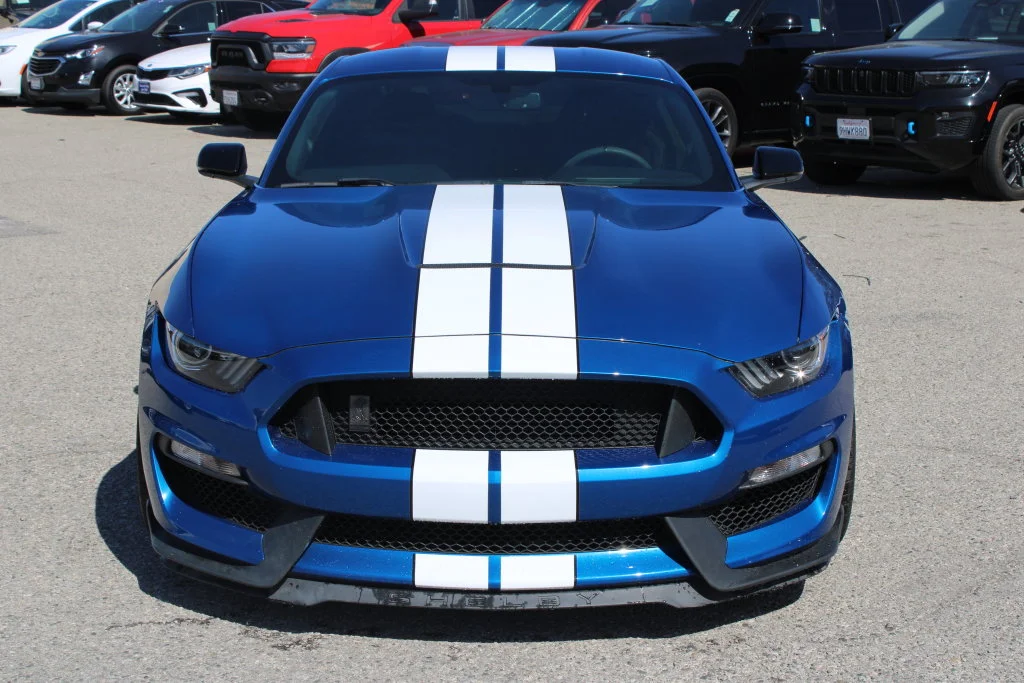 Used 2017 Blue Ford Shelby GT350 image 2