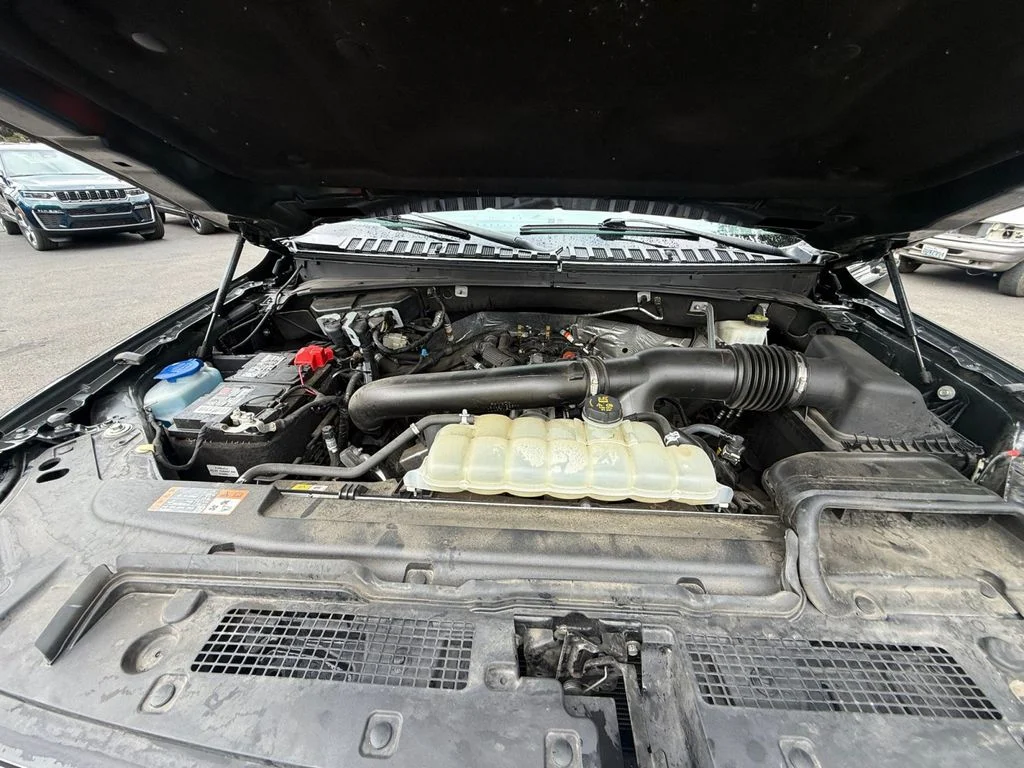 Used 2022 Green Ford Limited image 21