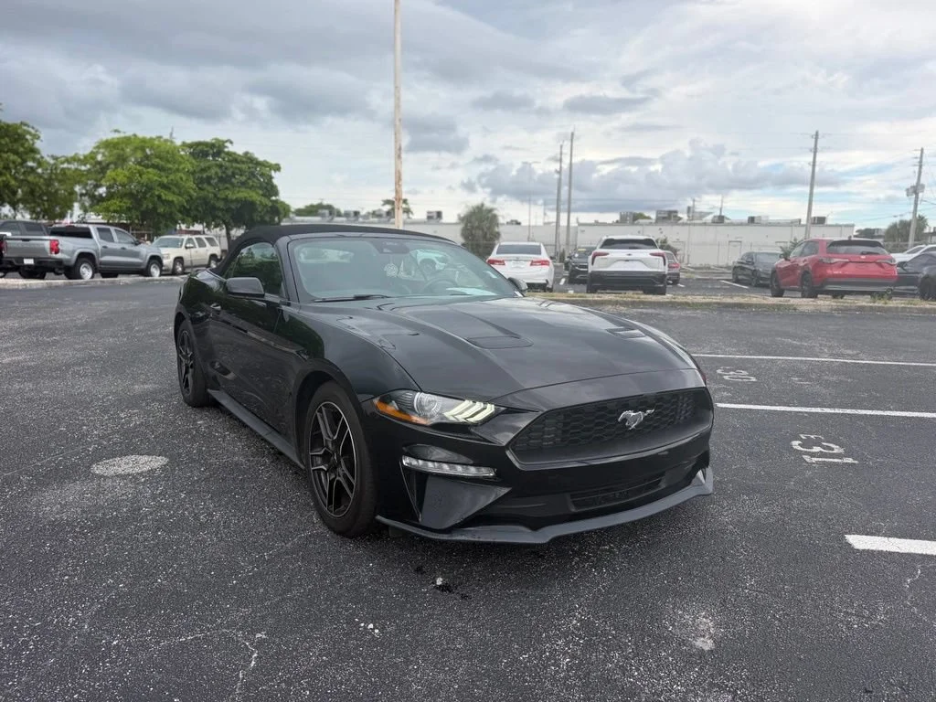 Used 2023 Black Ford EcoBoost Premium Convertible image 2