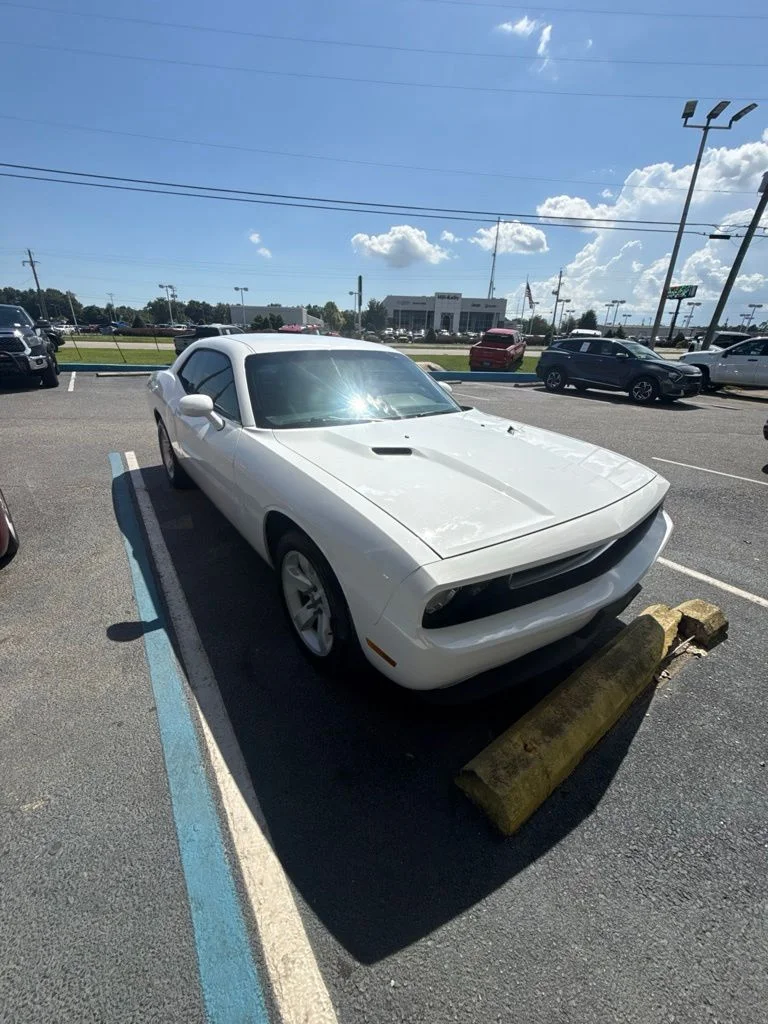 Used 2013 White Dodge SXT image 2
