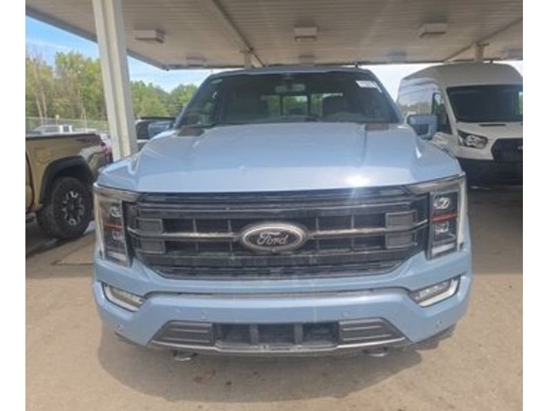 Used 2023 BLUE Ford Platinum image 2