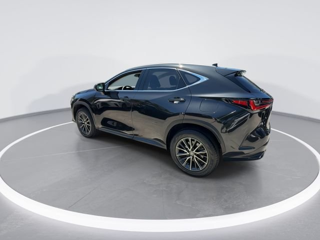 2024 Lexus NX 250 - Photo 5