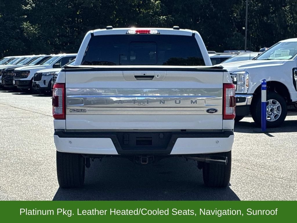Used 2023 White Ford Platinum image 6