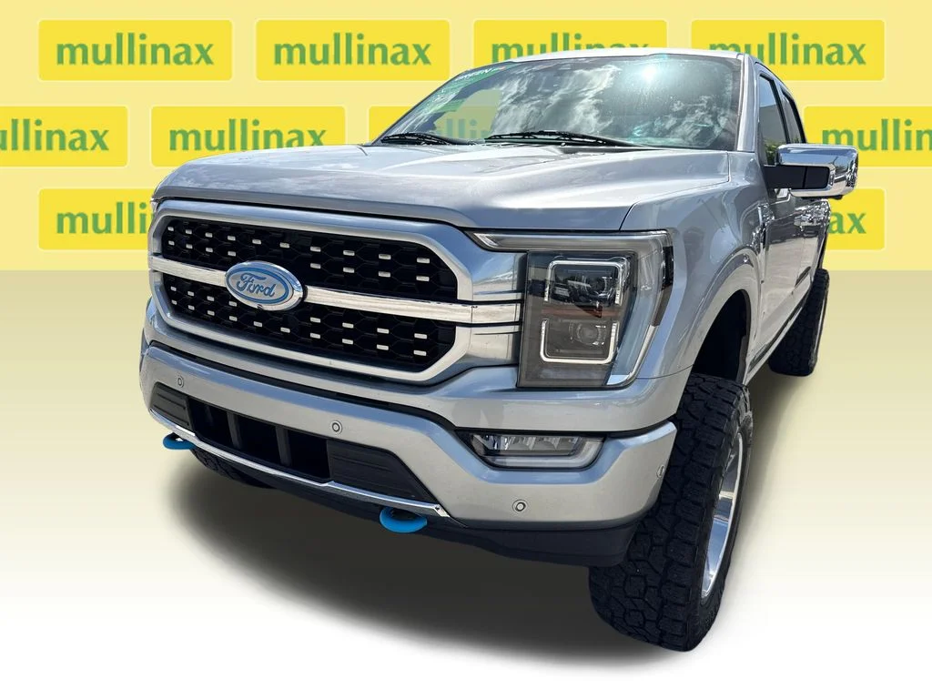 Used 2021 Silver Ford Platinum image 10