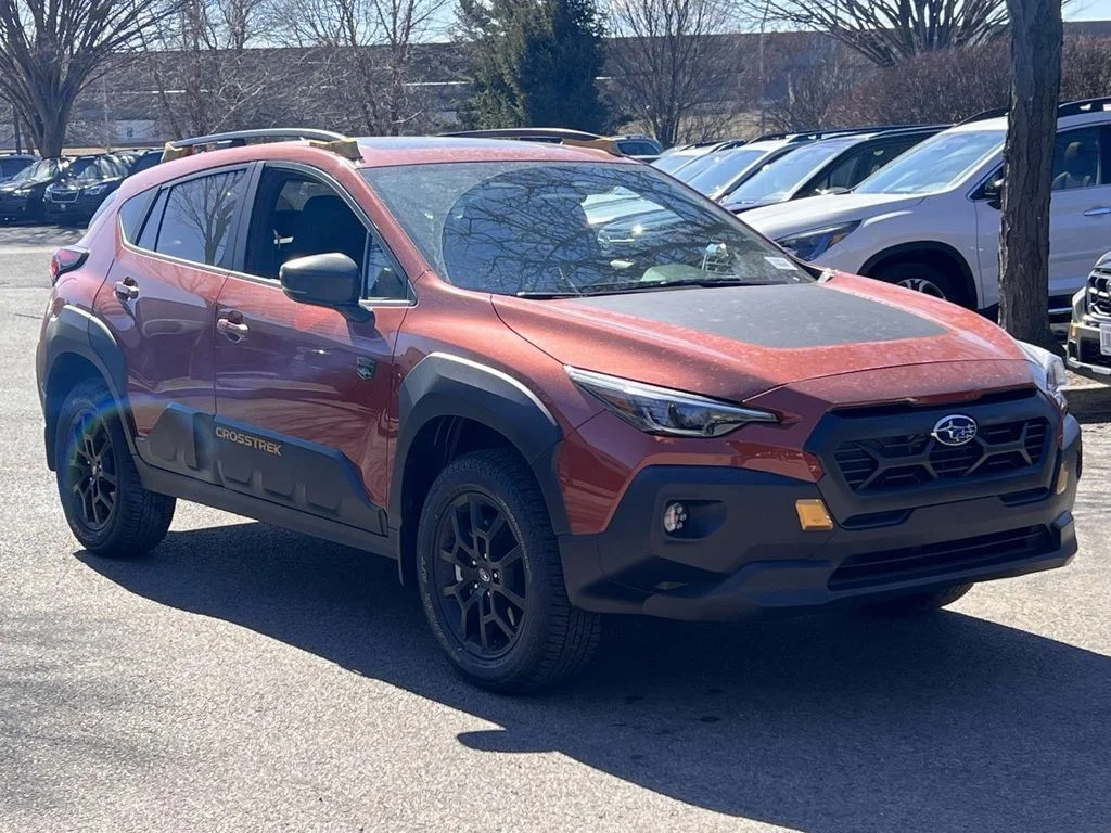 Used 2024 Beige Subaru Wilderness image 4