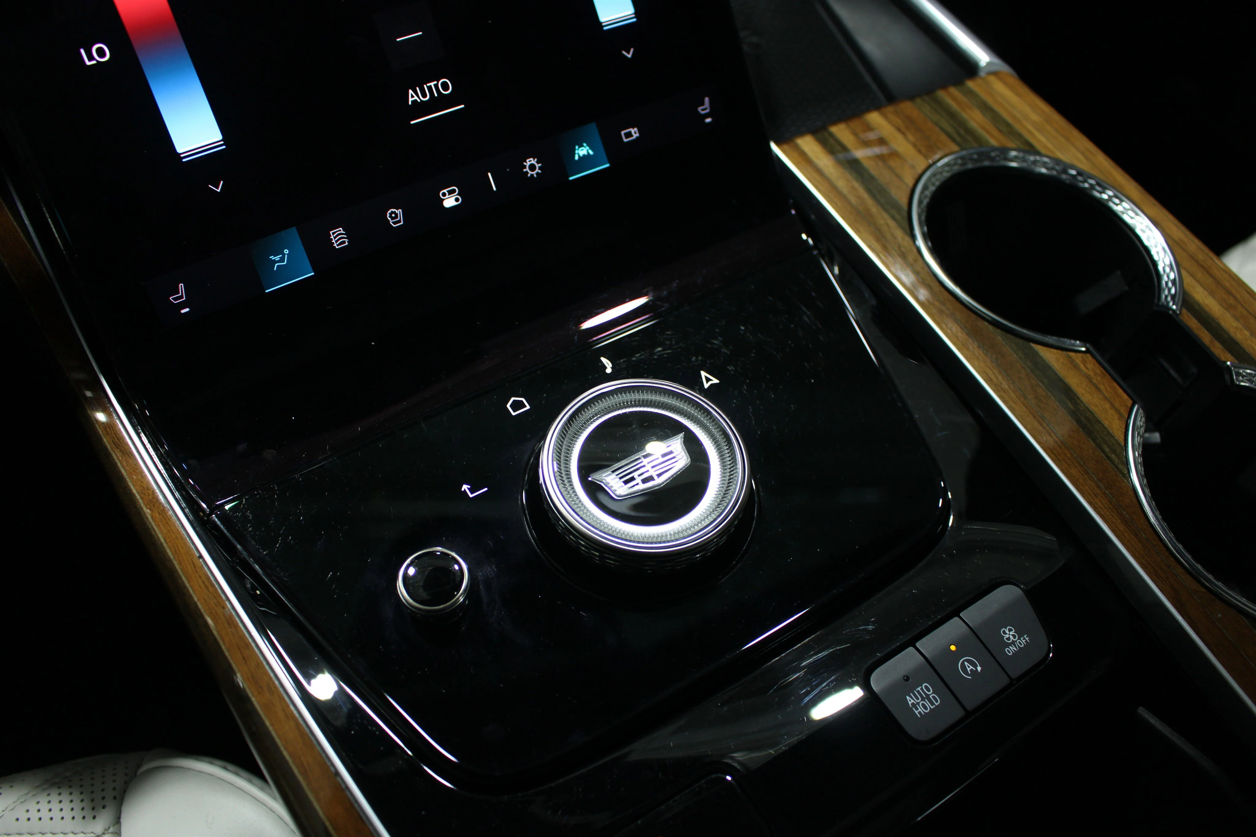 2025 Cadillac Escalade ESV Premium Luxury Platinum - Photo 20
