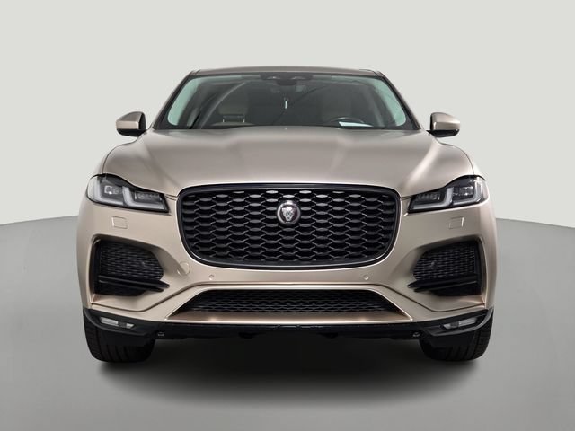 Used 2023 Blue Jaguar S image 8