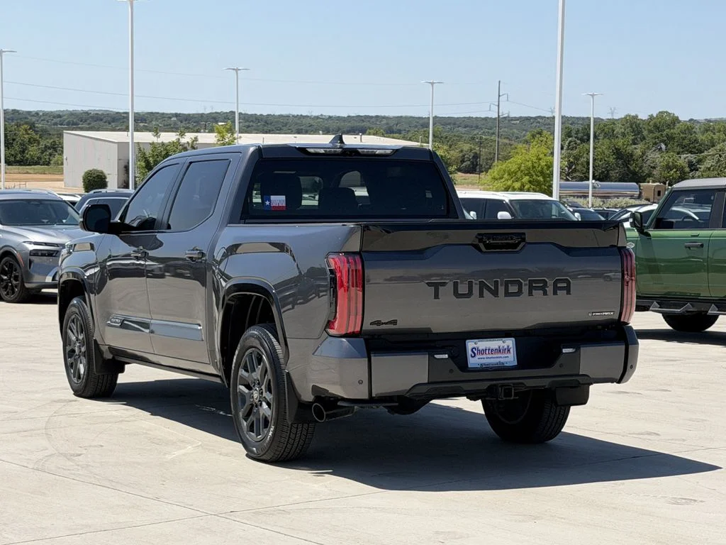 Used 2025 Gray Toyota Platinum image 4