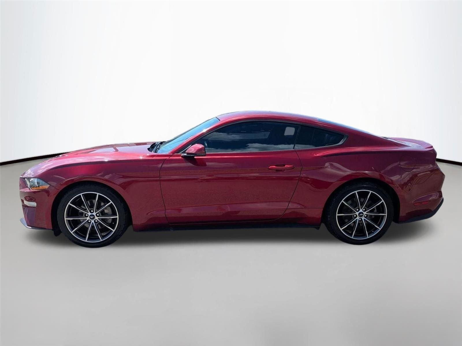Used 2019 Ruby Red Metallic Tinted Clearcoat Ford EcoBoost Premium image 8