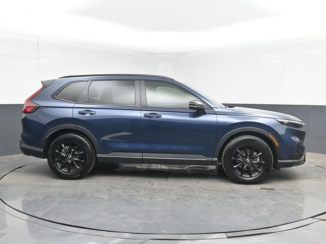 Used 2026 Blue Honda Sport-L image 10