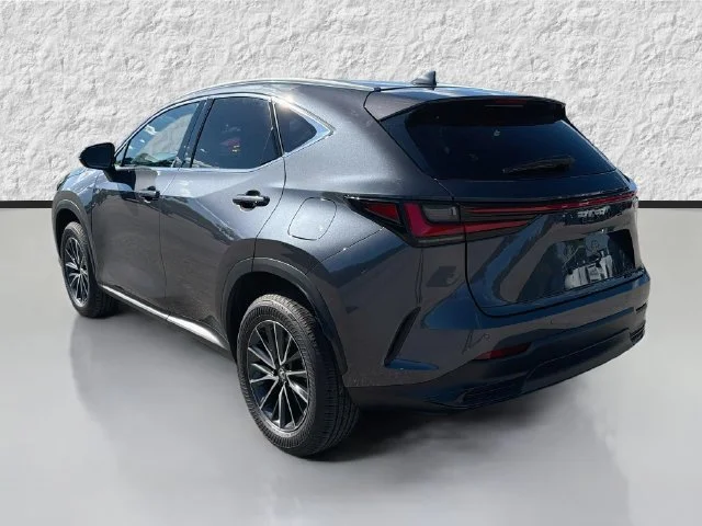 New 2026 Cloudburst Gray Lexus PREMIUM image 5