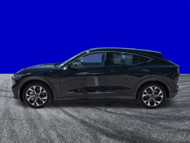New 2026 Shadow Black Ford Select image 7