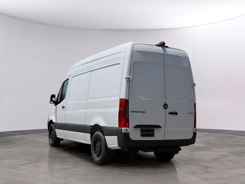 New 2025 Arctic+White Mercedes-Benz Cargo 144 WB image 49