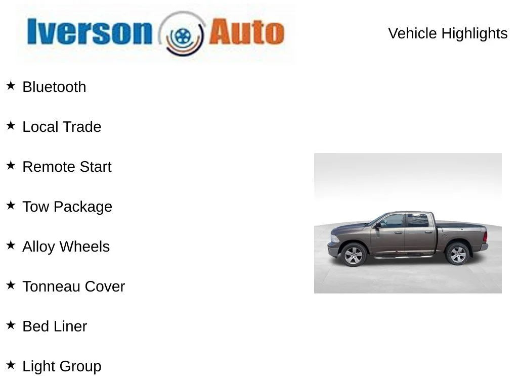 Used 2009 Beige Dodge SLT image 2