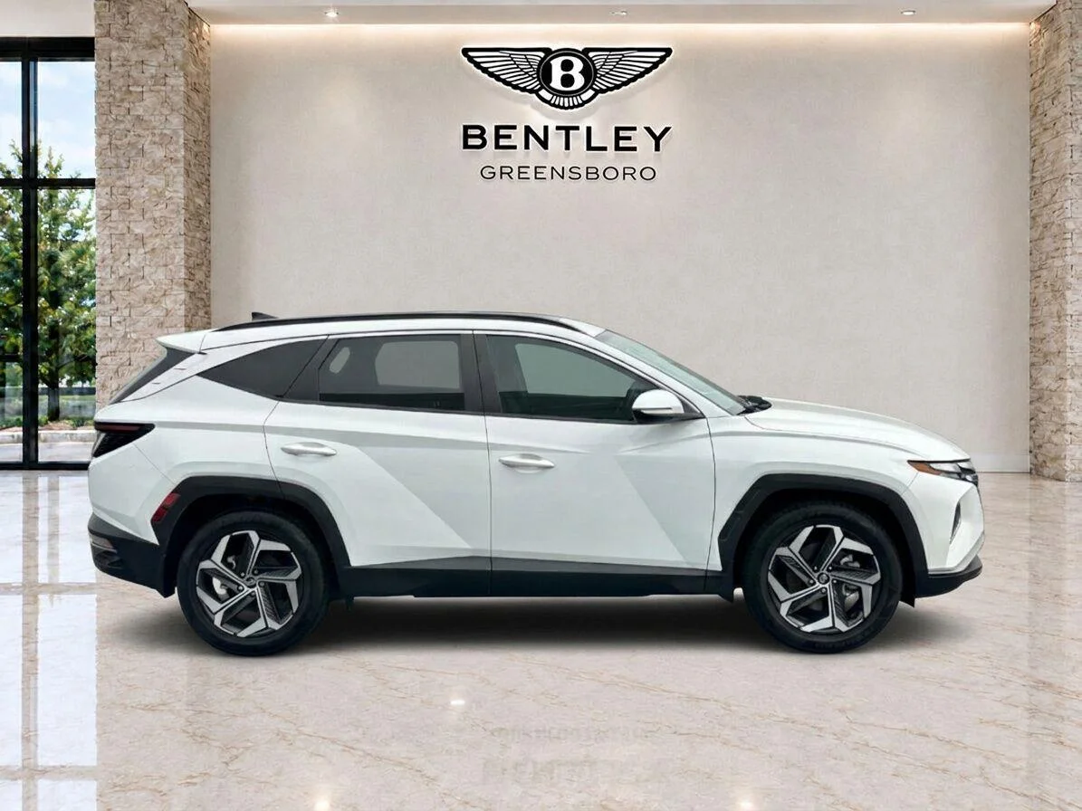 Used 2023 Serenity White Pearl Hyundai SEL image 6