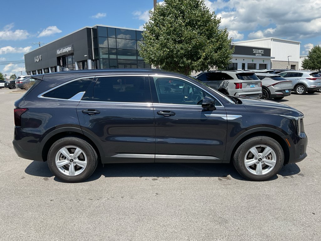 Used 2025 Panthera Metal Kia LX image 10