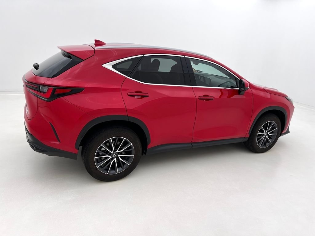 2025 Lexus NX 350 - Photo 10