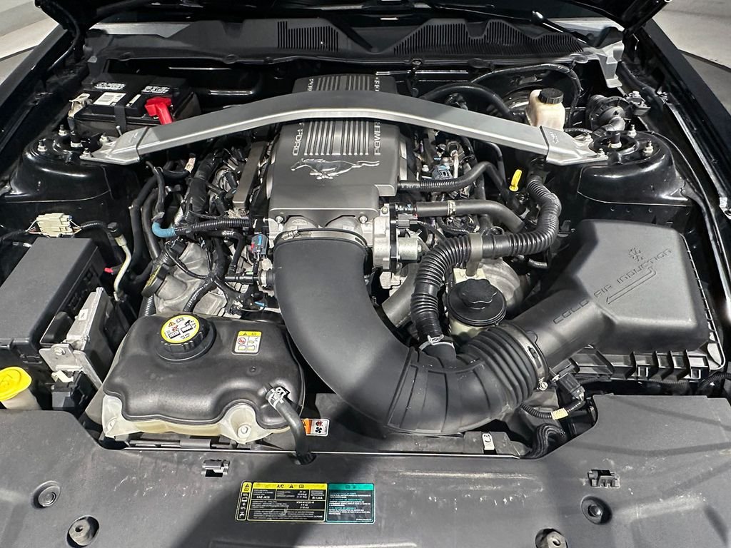 Used 2010  Ford GT image 23