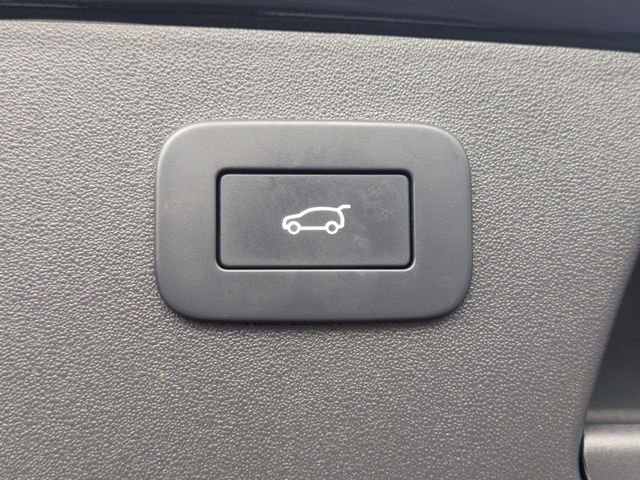 Used 2024 Blue Jaguar P250 image 13