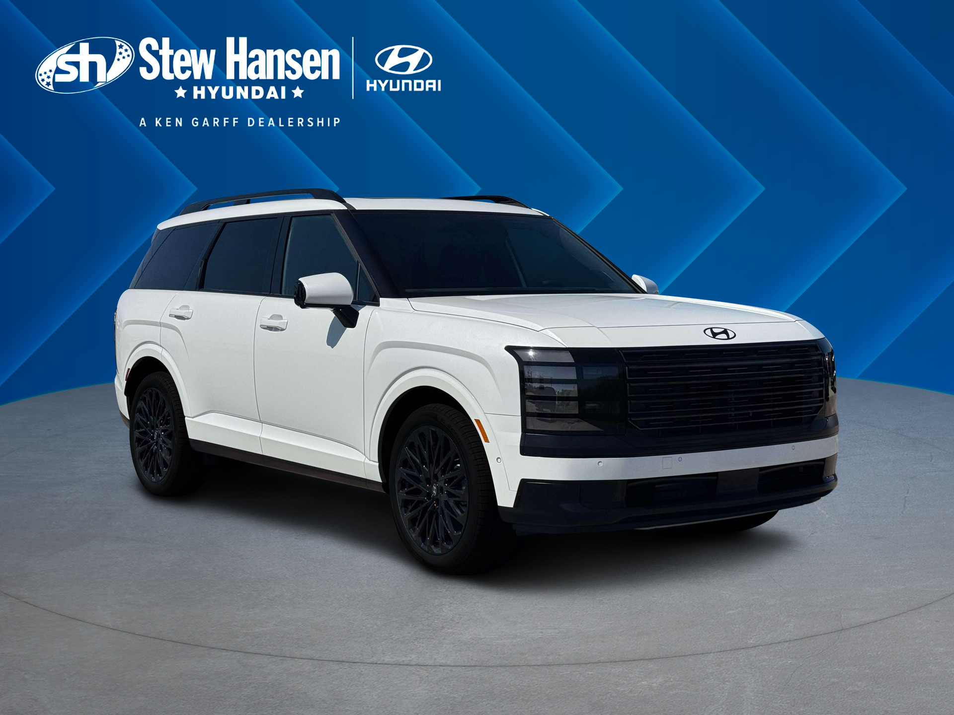 New 2027 Creamy White Pearl Hyundai Calligraphy Black Ink image 23